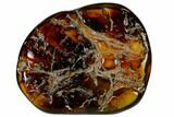 Polished Chiapas Amber ( g) - Mexico #114974-1